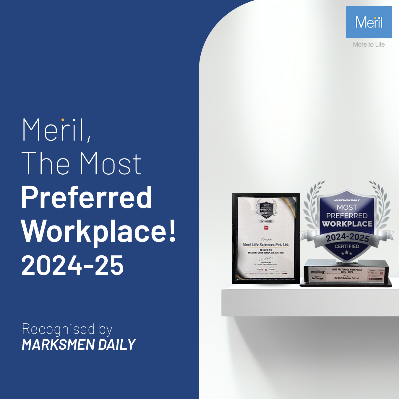 Meril is honored to receive the Most Preferred Workplace Award 2024-2025