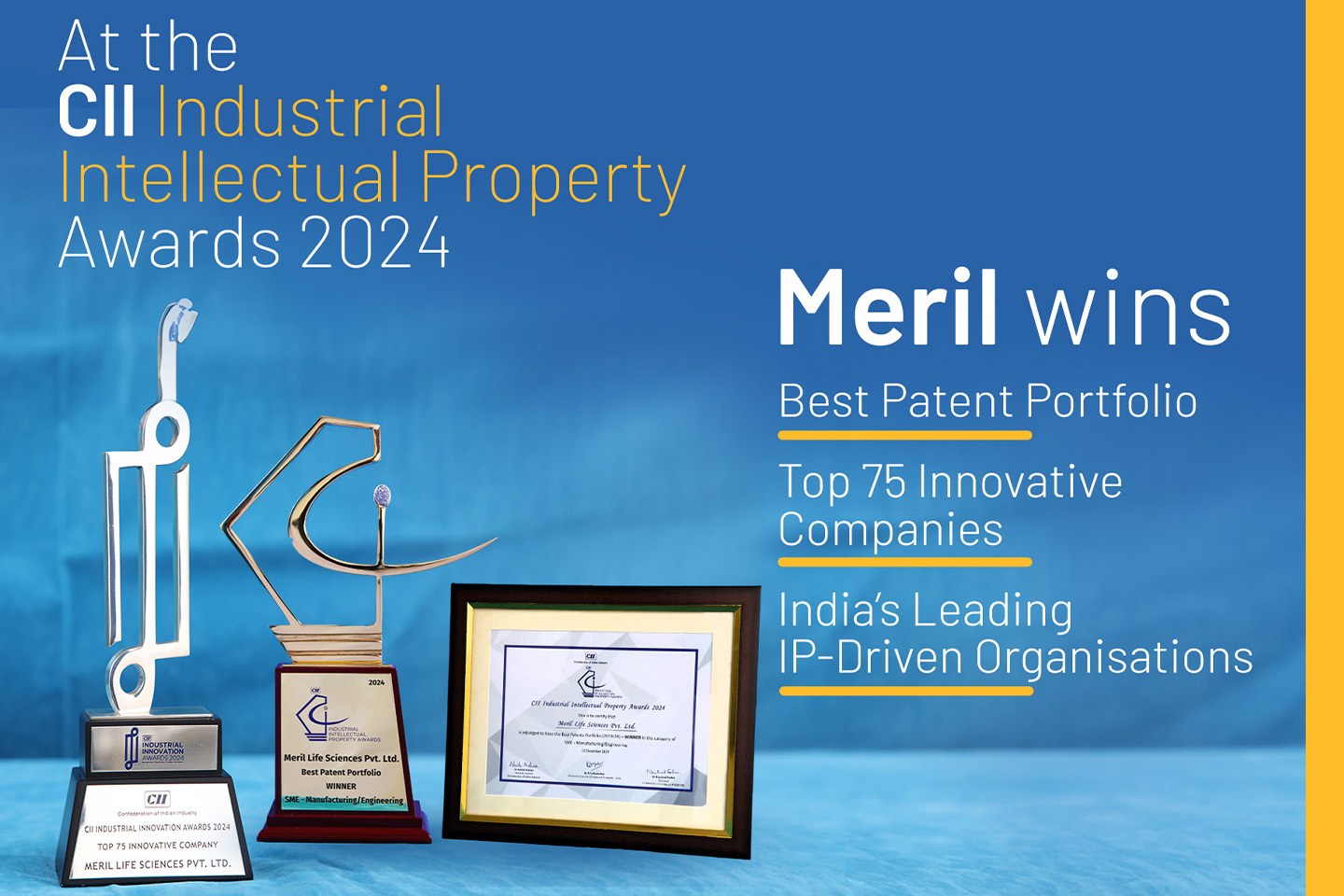 Meril Honored for Best Patent Portfolio at the 10th CII Industrial Intellectual Property Awards 2024